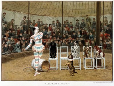 Die gelehrten Hunde: Zirkusszene mit Clown und Hunden - nach Charles Green, englisches Chromo 1885 von Charles Green