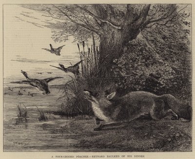 Ein vierbeiniger Wilderer, Reynard um sein Abendessen gebracht von Charles Harvey Weigall
