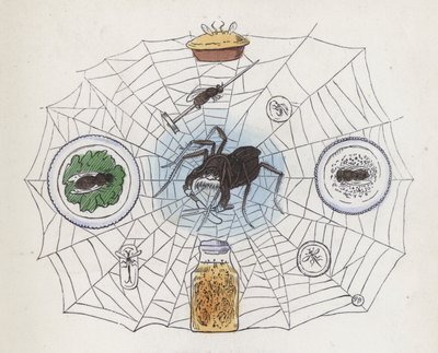 Spinne in ihrem Netz, umgeben von Nahrung von Charles Henry (after) Bennett