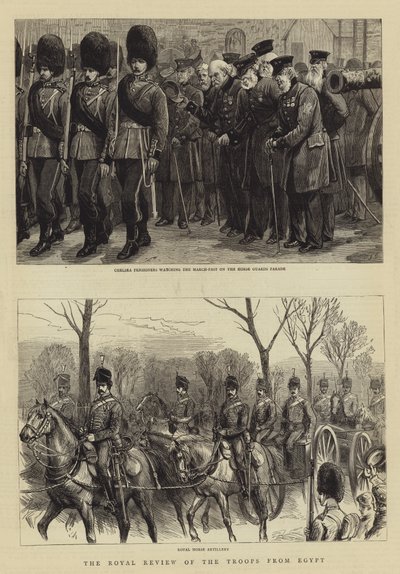 Die königliche Überprüfung der Truppen aus Ägypten von Charles J. Staniland