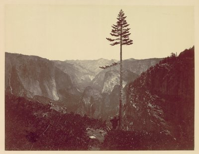Yosemite-Tal vom Mariposa-Pfad, um 1865 von Charles Leander Weed