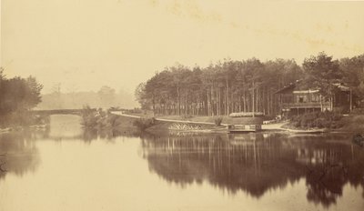 [Bois de Boulogne, Paris] von Charles Marville