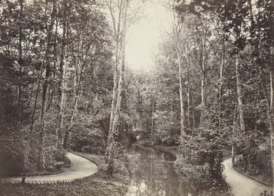 Mare aux biches (Rehweiher), Bois de Boulogne von Charles Marville