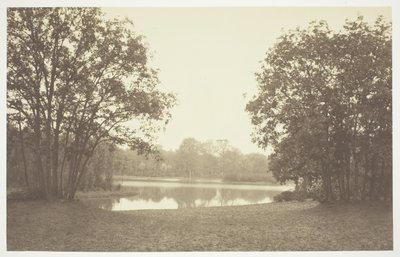 Ohne Titel, ca. 1850. [Bäume in der Nähe von Wasser im Bois de Boulogne, einem Park in Paris] von Charles Marville