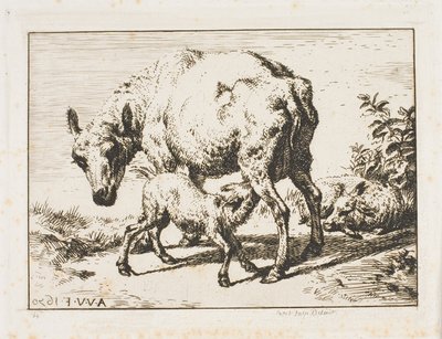 Das Mutterschaf mit zwei Lämmern von Charles Meryon