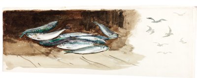 Studie von Fischen von Charles Napier Hemy