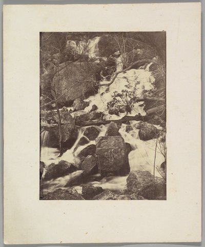 Bäume und Wasserfälle von Charles Nègre
