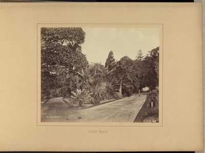 Botanische Gärten von Charles Percy Pickering