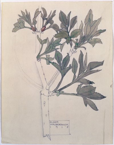 Holunder, Walberswick, 1915 von Charles Rennie Mackintosh