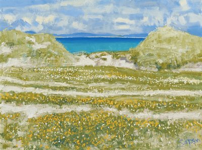 Blick auf Harris, 2014 von Charles Simpson