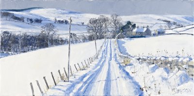 Schnee, Newhall, 2010 von Charles Simpson