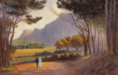 Kap-Halbinsel, Südafrika: Alphen von Charles Stephen Meacham