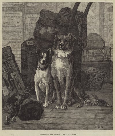 Fremde und Pilger von Charles Trevor Garland