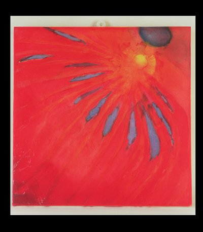 Fächerfeuer von Charlotte Johnstone