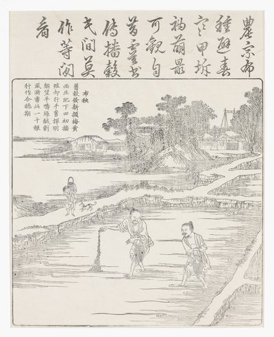 Reis säen in einem Saatbeet, 18. Jahrhundert von Chinese School