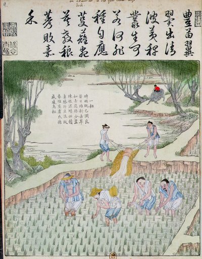 Jäten, Die Reiskultur in China von Chinese School