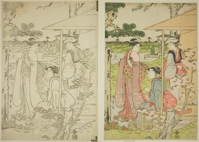 Kirschblüten von einem Teehaus auf dem Asuka-Hügel betrachten von Chobunsai Eishi