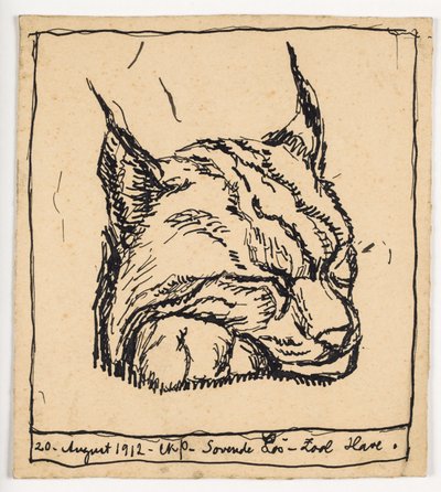 "Schlafender Luchs" von Christian Kongstad Petersen