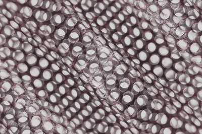 Geometrisches Schattenspiel von Christina Sillen
