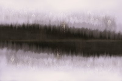 Neblige Birkenreflexion von Christina Sillen