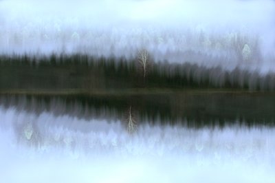 Neblige Birkenreflexion von Christina Sillen