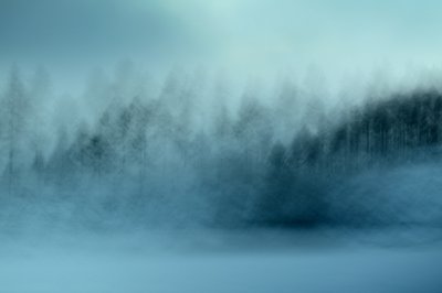 Nebliger Blauer Wald von Christina Sillen