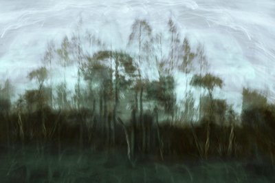 Nebliger Waldtraum von Christina Sillen