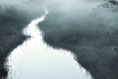 Nebliger gewundener Bach von Christina Sillen