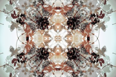 Gedämpftes botanisches Kaleidoskop von Christina Sillen