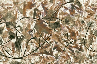 Gedämpftes Waldlaub von Christina Sillen