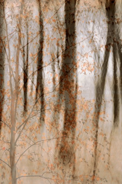 Sanfte Herbstwälder von Christina Sillen