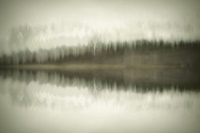 Einsamer Birkensee von Christina Sillen