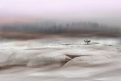 Einsamer Winterbaum von Christina Sillen