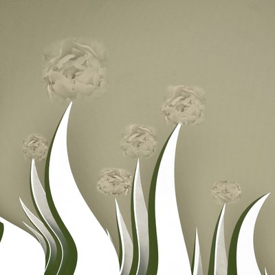 Subtile Creme Blüten von Christina Sillen