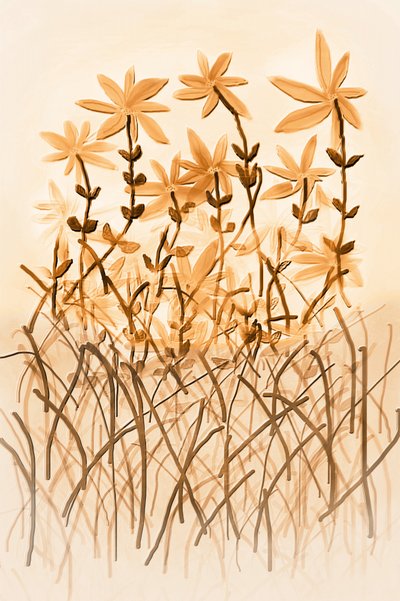 Warme Sepia-Botanik von Christina Sillen