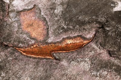 Verwitterte Mineraloberfläche von Christina Sillen