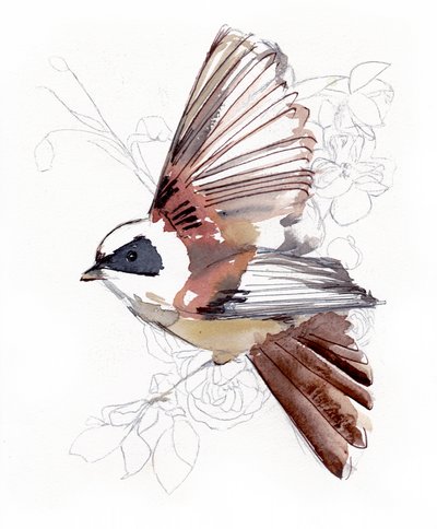 Fliegender Aquarellvogel von Christine Lindstrom