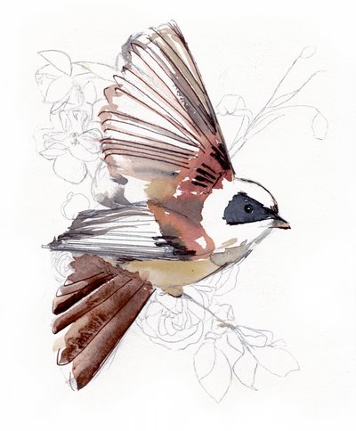 Fliegender Aquarellvogel von Christine Lindstrom