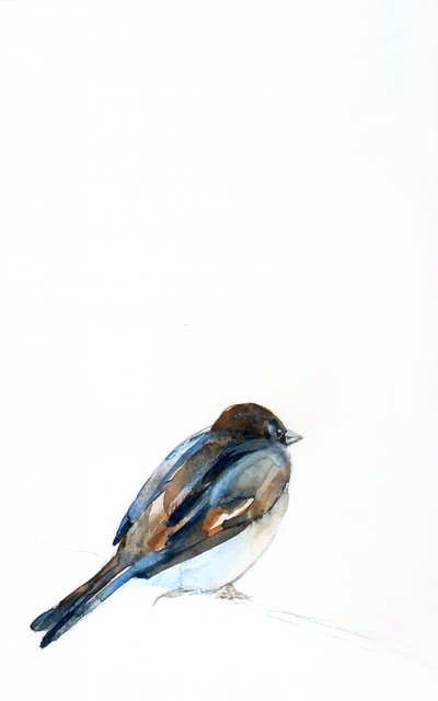 Sperling auf Aquarell von Christine Lindstrom