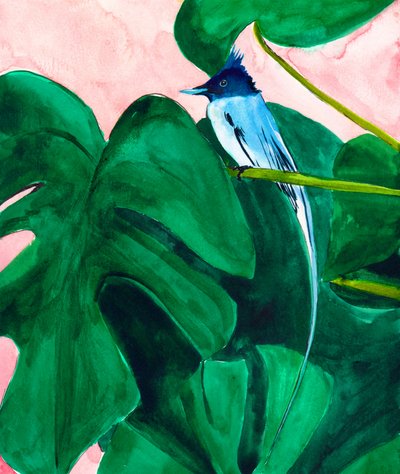 Tropischer Vogel Monstera-Blatt von Christine Lindstrom