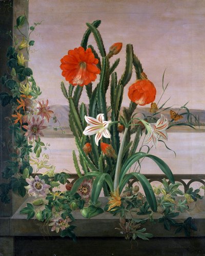 Stillleben mit Kakteen, Lilien und Passionsblumen auf dem Fensterbrett von Christine Lovmand