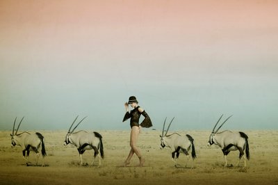 Wüstenwanderung mit Oryx von Christine von Diepenbroek