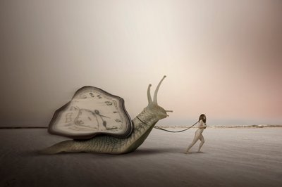 Langsamkeit der Zeit von Christine von Diepenbroek