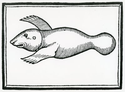 Ein Fisch namens 