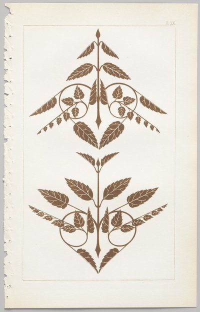 Die Kunst des dekorativen Designs: mit einem Anhang, der die Stunden des Tages angibt, zu denen Blumen öffnen, veröffentlicht von Day & Son, London, 1862 von Christopher Dresser