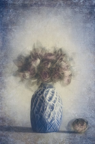  von Cicek Kiral