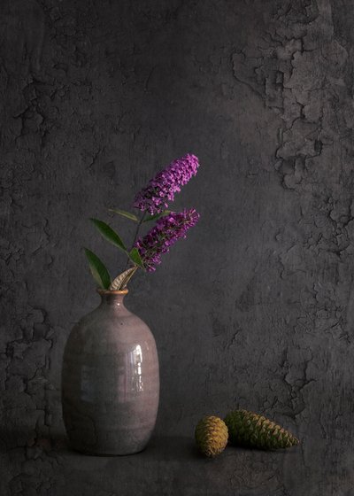  von Cicek Kiral