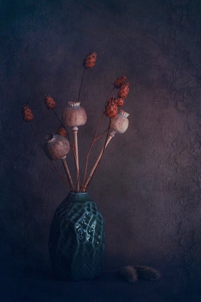  von Cicek Kiral