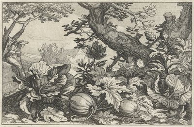 Landschaft mit Kürbissen und Kohl von Claes Jansz. Visscher (II)