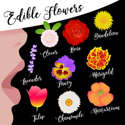 Essbare Blumen von Claire Huntley